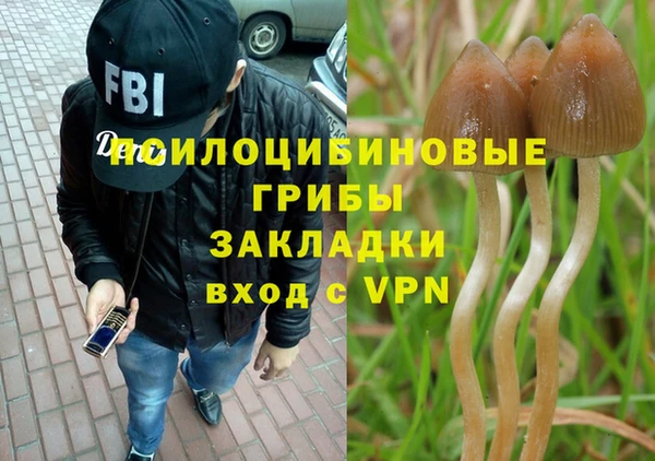 героин Горняк