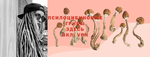 бутират Горно-Алтайск