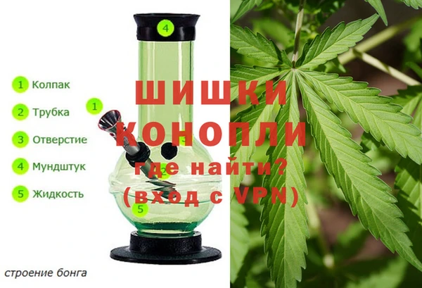шишки Горнозаводск