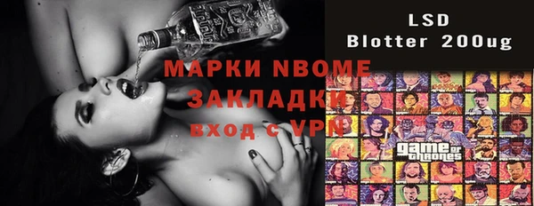 стафф Гусев