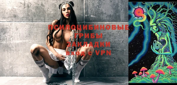 шишки Горнозаводск