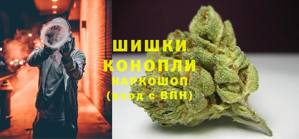 шишки Горнозаводск
