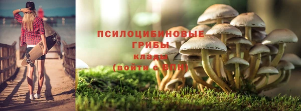 героин Горняк