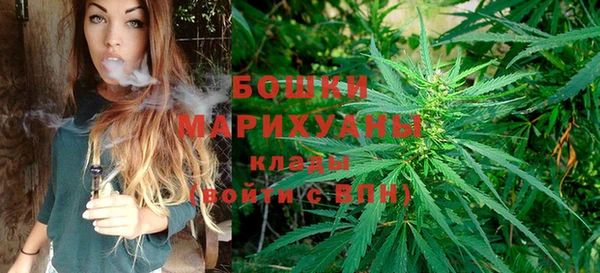 шишки Горнозаводск