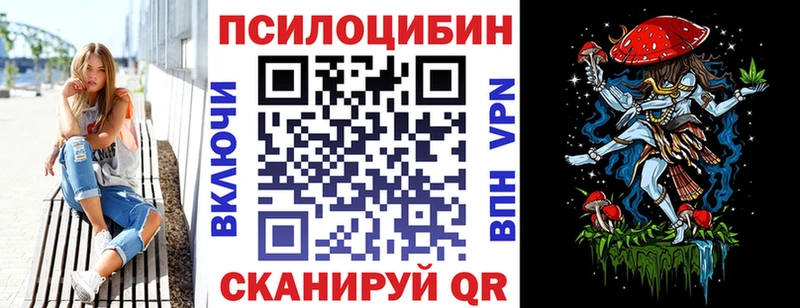 Купить Кизилюрт Галлюциногенные грибы мицелий